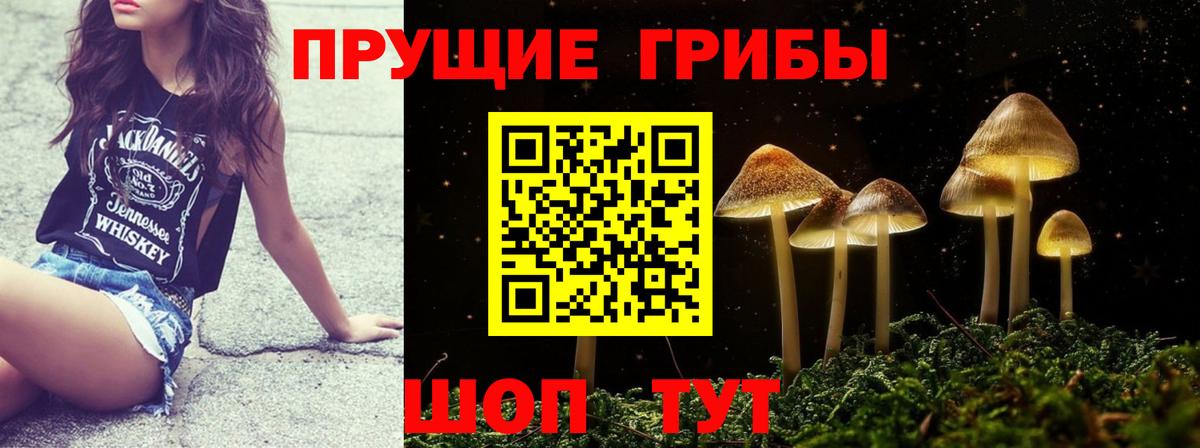 Псилоцибиновые грибы прущие грибы Волжск